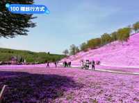 日本北海道-宛如粉紅色地毯的芝櫻花海：東藻琴 芝櫻公園