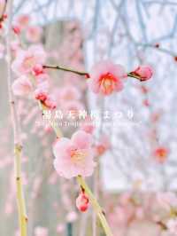 湯島天神梅まつり🌸