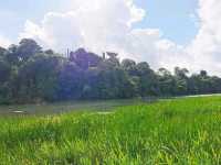 Discover MacRitchie Reservoir: Singapore’s Secret Nature Gem