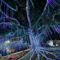 2024清邁花卉節