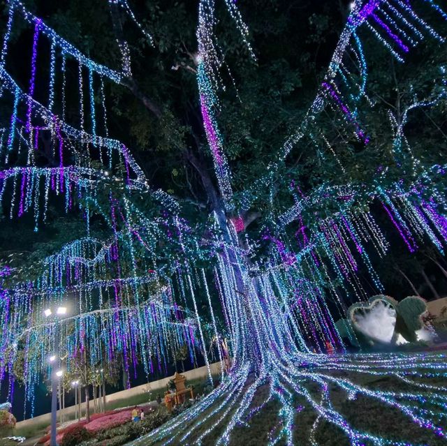 2024清邁花卉節