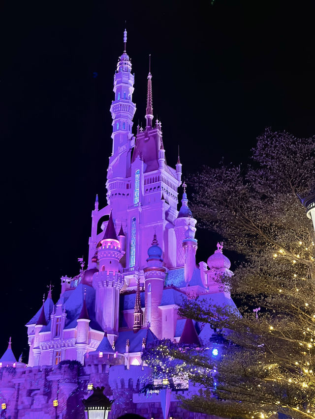 🇭🇰 香港迪士尼魔雪奇緣樂園要這樣拍❄️☃️要聖誕節來🎄