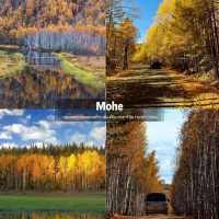 Autumn in Mohe 🍂