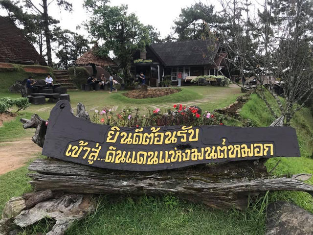 ชมทะเลหมอก สัมผัสความหนาวที่ห้วยน้ำดัง❤️