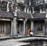See Angkor Wat and Die