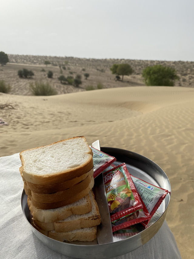 インドの砂漠ツアーはラクダに長時間乗れちゃう🐪刺激的なひととき