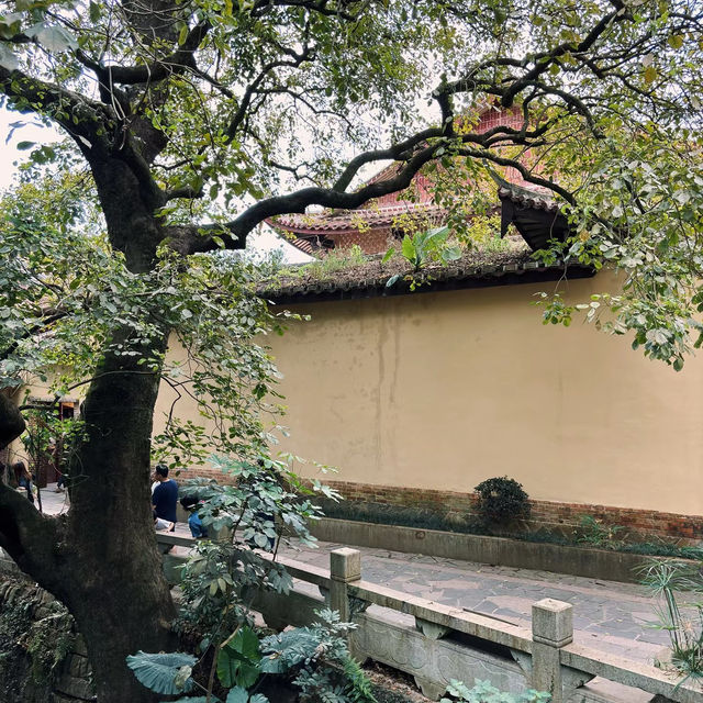 靈光寺：靜謐之境⛩️✨