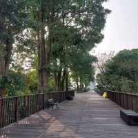 屏東河濱公園 舊鐵橋 運動放風的好地方