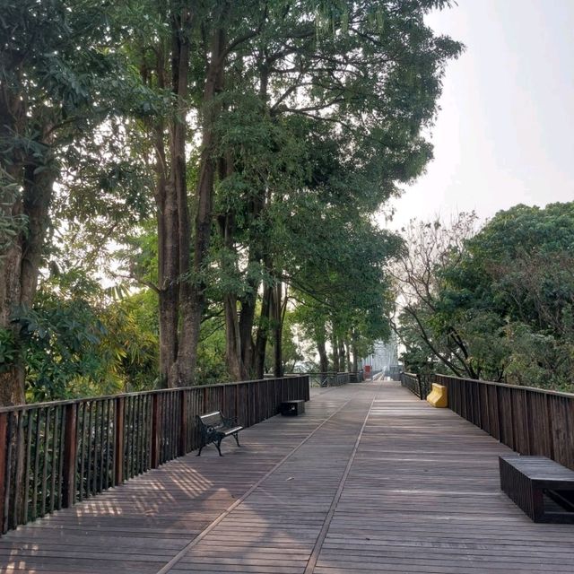 屏東河濱公園 舊鐵橋 運動放風的好地方