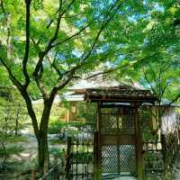 花田苑：鳥語花香的日本庭院夢🌸🐟