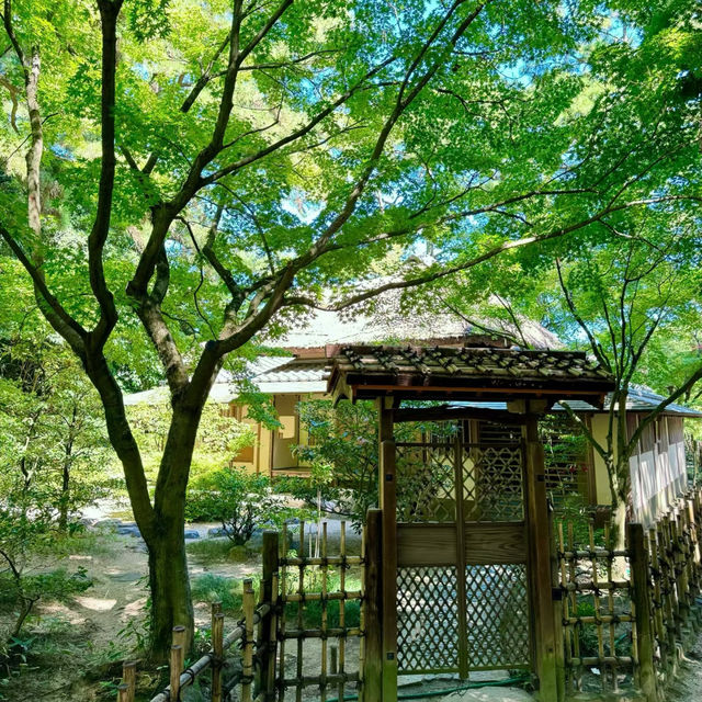 花田苑：鳥語花香的日本庭院夢🌸🐟