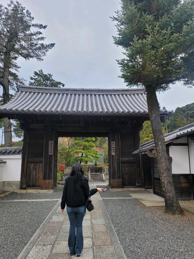 우거진 단풍이 아름다운 교토 "청수사(기요미즈데라)"