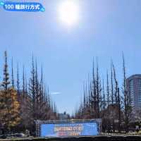 另類光禿禿的銀杏併木奇景:明治神宮外苑大道