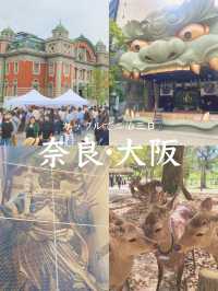 【カップルで2泊3日💓大阪・奈良旅行🦌】