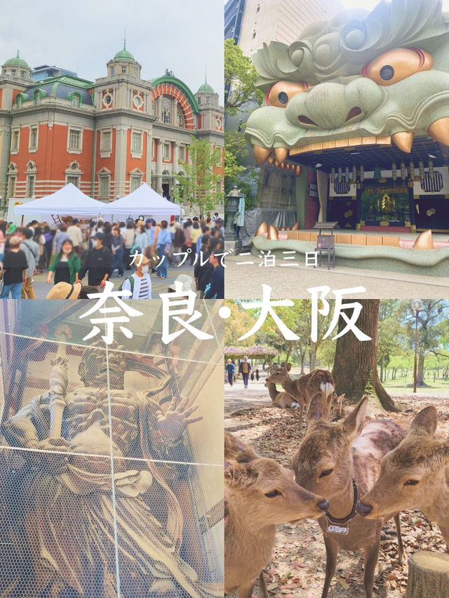 【カップルで2泊3日💓大阪・奈良旅行🦌】