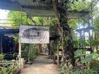 หลาดใต้โหนด ตลาดชิวเมืองพัทลุง