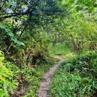 "Discover Nature with a Scenic Hike at Bukit Kepayang, Seremban"