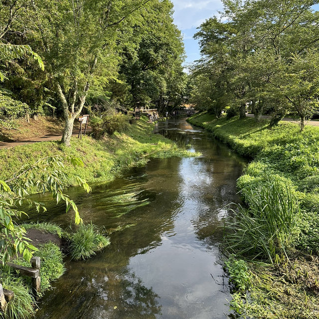 東京郊區自然美景：忍野八海