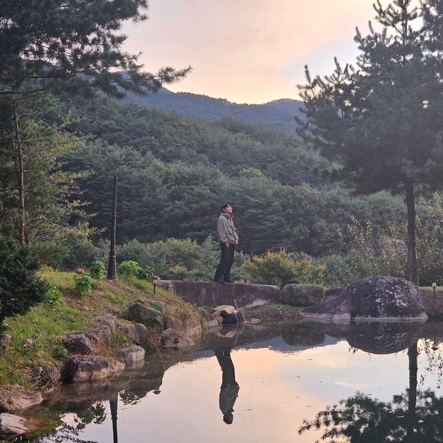 문경 가을꽃구경🌼