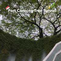 Fort Canning Tree Tunnel ✨🌳🌱