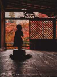 【京都の紅葉スポット】京都　高雄　高山寺