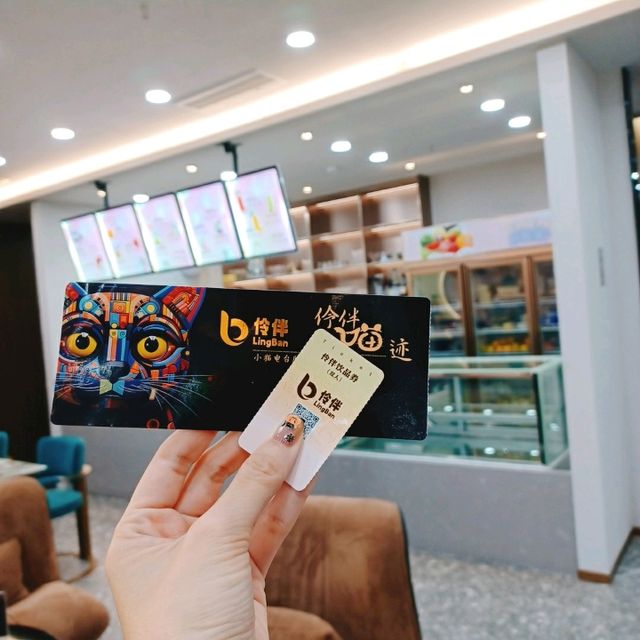 深圳灣超治癒貓Cafe😍