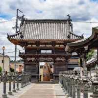 🐲開口神社🌲美麗平靜⛩️✨