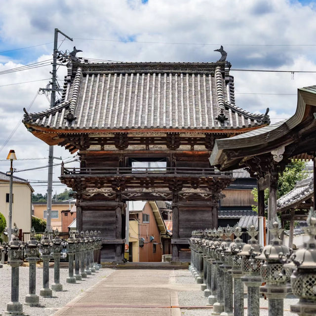 🐲開口神社🌲美麗平靜⛩️✨