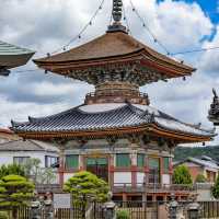 🐲開口神社🌲美麗平靜⛩️✨