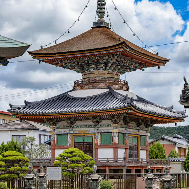 🐲開口神社🌲美麗平靜⛩️✨
