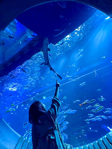 Okinawa] A spectacular aquarium in Naha ✨ DMM Kariyushi Aquarium