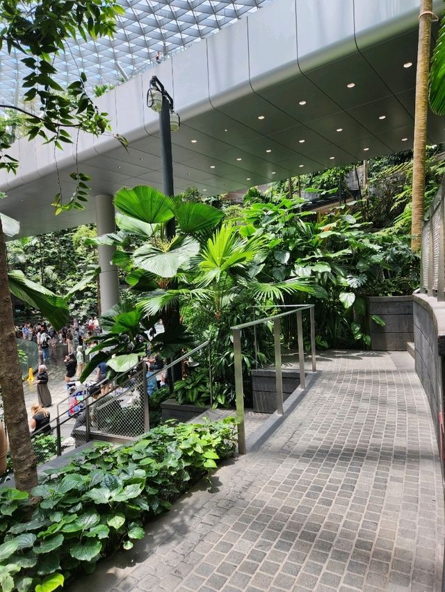 Snap Away at Jewel Rain Vortex