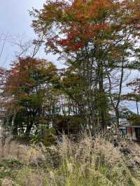 【軽井沢】軽井沢に新しく出来た複合施設🏠