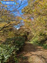 鳴子峽芬多精秘境，大深沢溪流森林步道