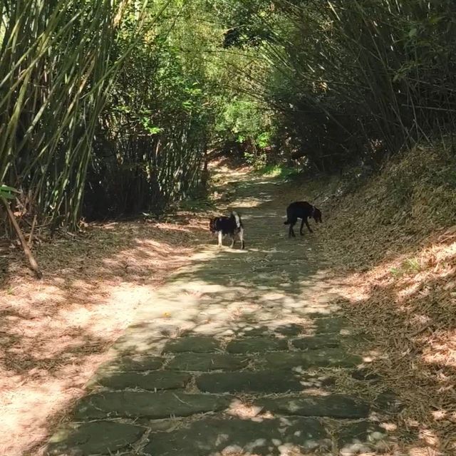 ☆ 台北祕境-圓明寺