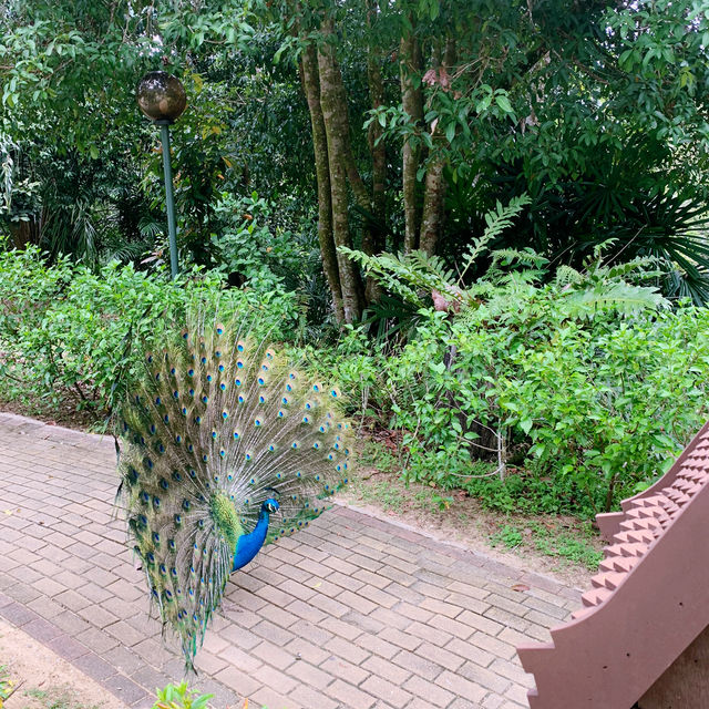 Tanjong Jara Resort: Your Dream Luxury Escape in Malaysia