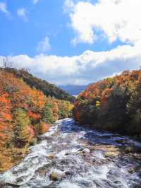【栃木】奥日光へ秋探し