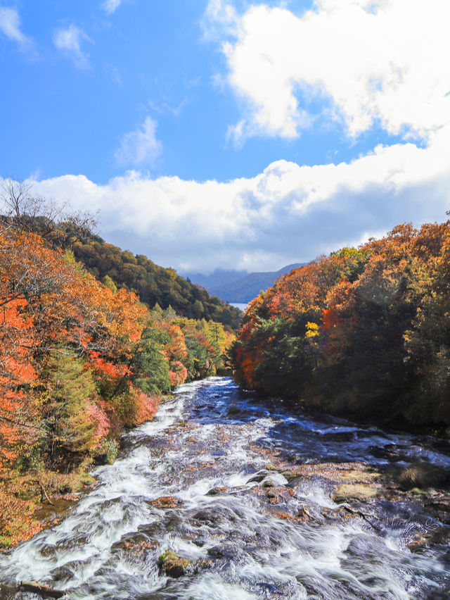 【栃木】奥日光へ秋探し