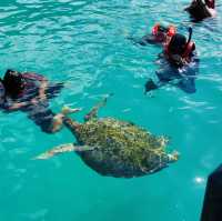 Sun, Sea, and Snorkeling: My Unforgettable Redang Island Getaway!