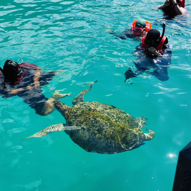 Sun, Sea, and Snorkeling: My Unforgettable Redang Island Getaway!