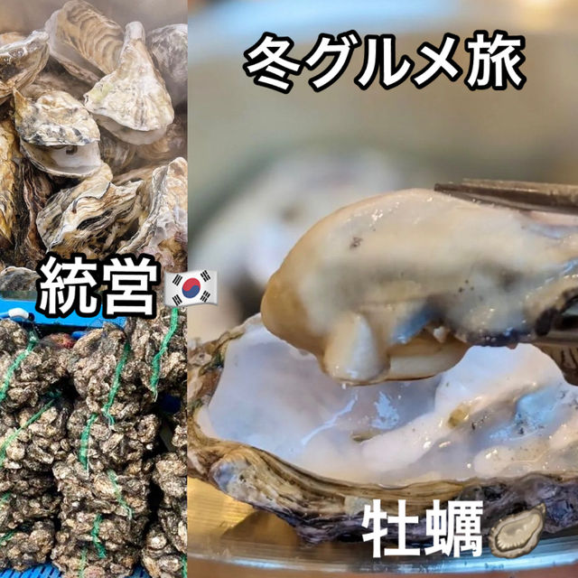 新鮮な海の幸を求めて統営へ　【대풍관】　