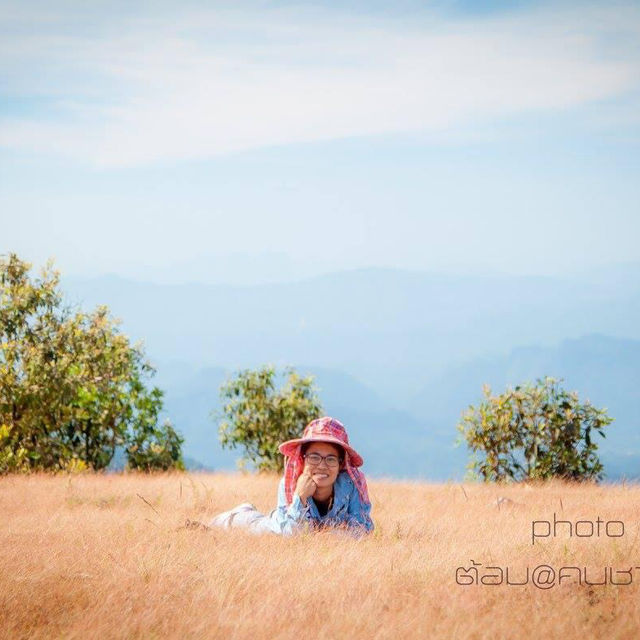 เดินดอยทูเล ดูทะเลหมอก