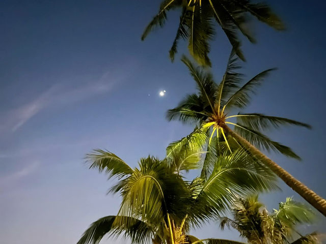 A Perfect Day at Sao Beach, Phu Quoc