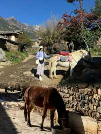 Yuhu Village: A Tranquil Retreat Under Jade Dragon Snow Mountain