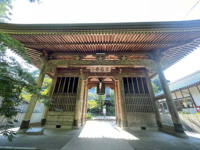 🇯🇵【愛媛県】四国88ケ所霊場第65番札所 三角寺！
