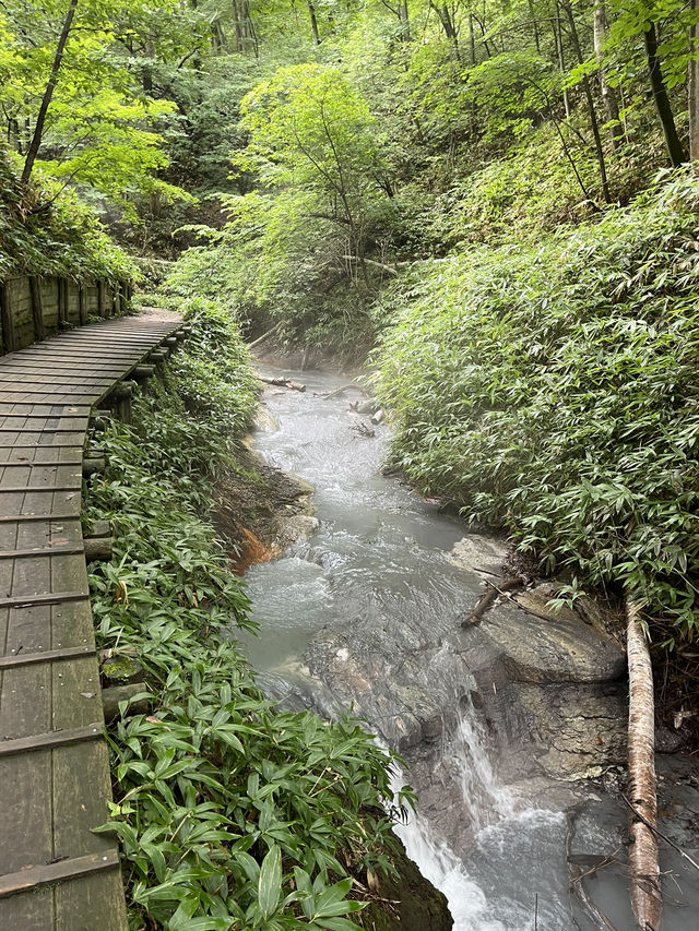오유누마강 천연 족욕장♨️