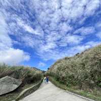 Discover the scenic YangMingShan national park
