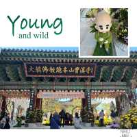 超特別韓國寺廟：曹溪寺