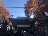 【都内の紅葉】今がまさに見頃！高尾山の紅葉散歩