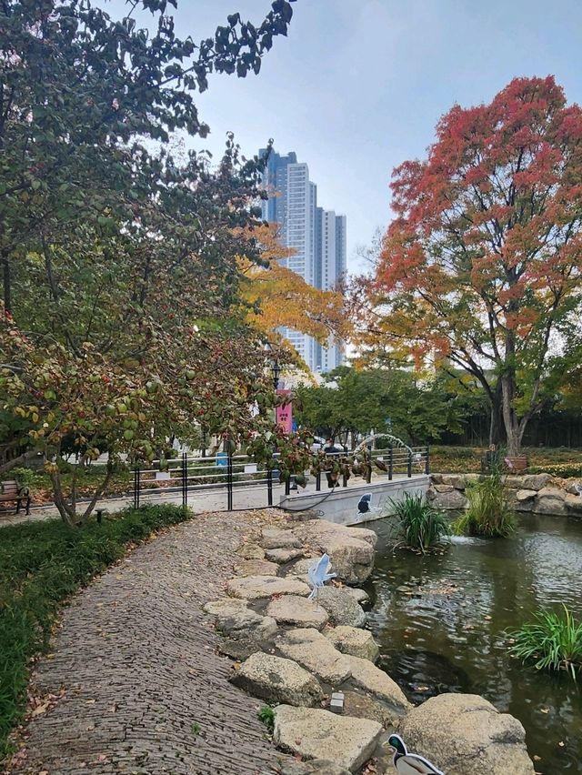 여유로움이 느껴지는 대구 히든 플레이스 경상감영공원🌿